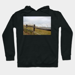 The Wind and the Wisps Hoodie